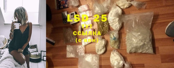 индика Лиски