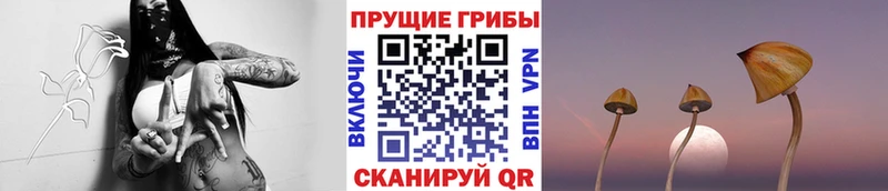 Псилоцибиновые грибы мухоморы ссылка на мегу ТОР Усть-Кут