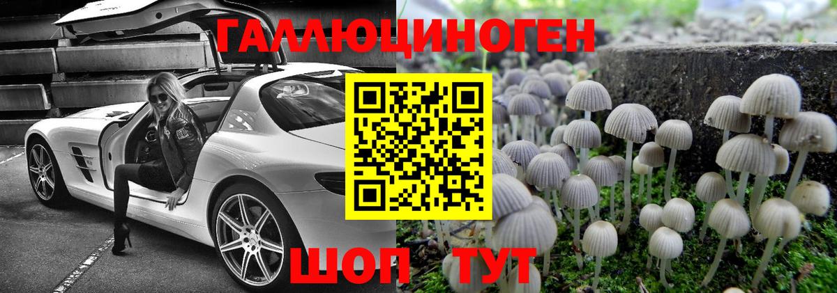 Галлюциногенные грибы Psilocybe  Псилоцибиновые грибы мухоморы  Усть-Кут 